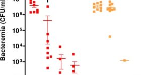 PLOS Pathogen Barnier et al 2021